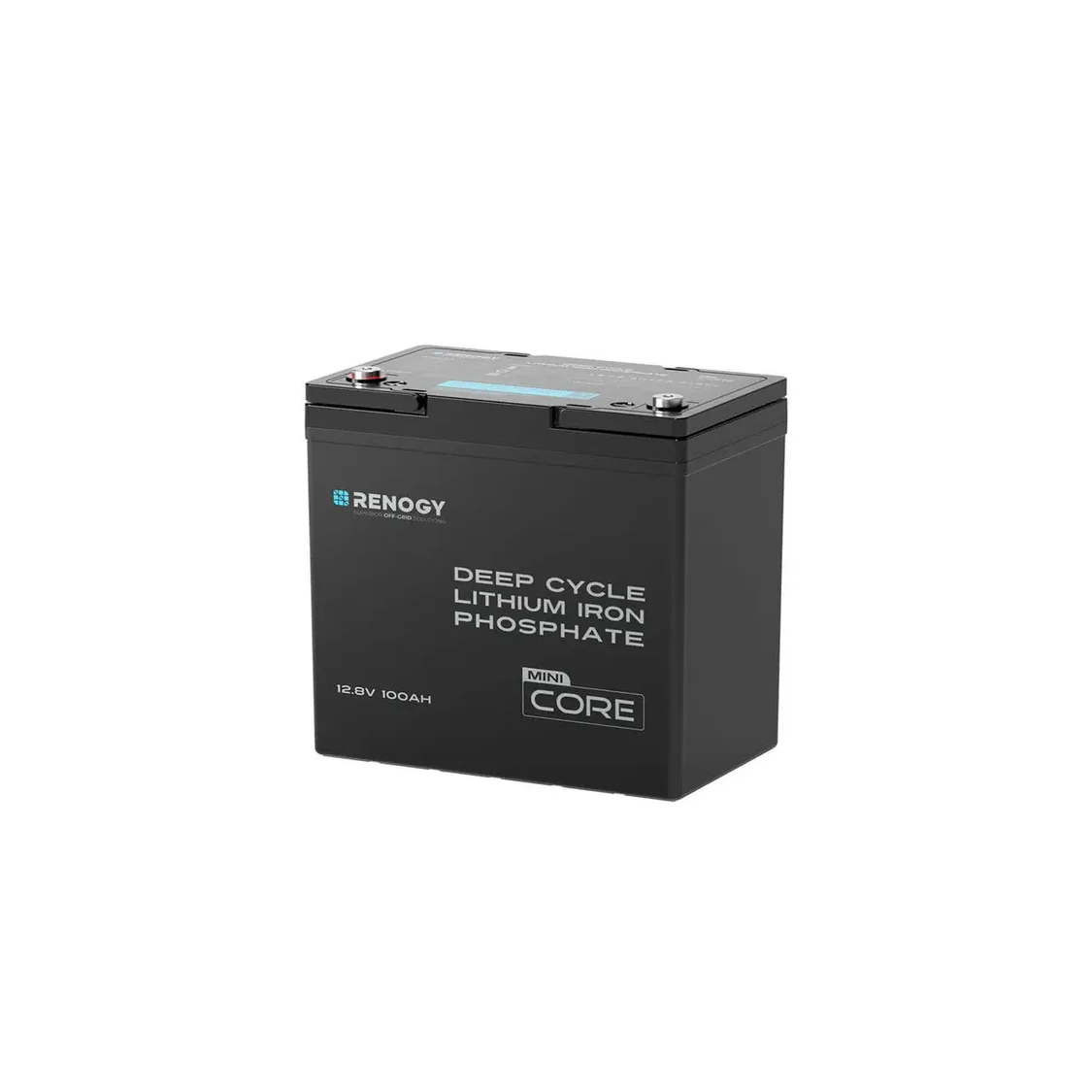 Mini 12V 100Ah Deep Cycle LiFePO4 Battery