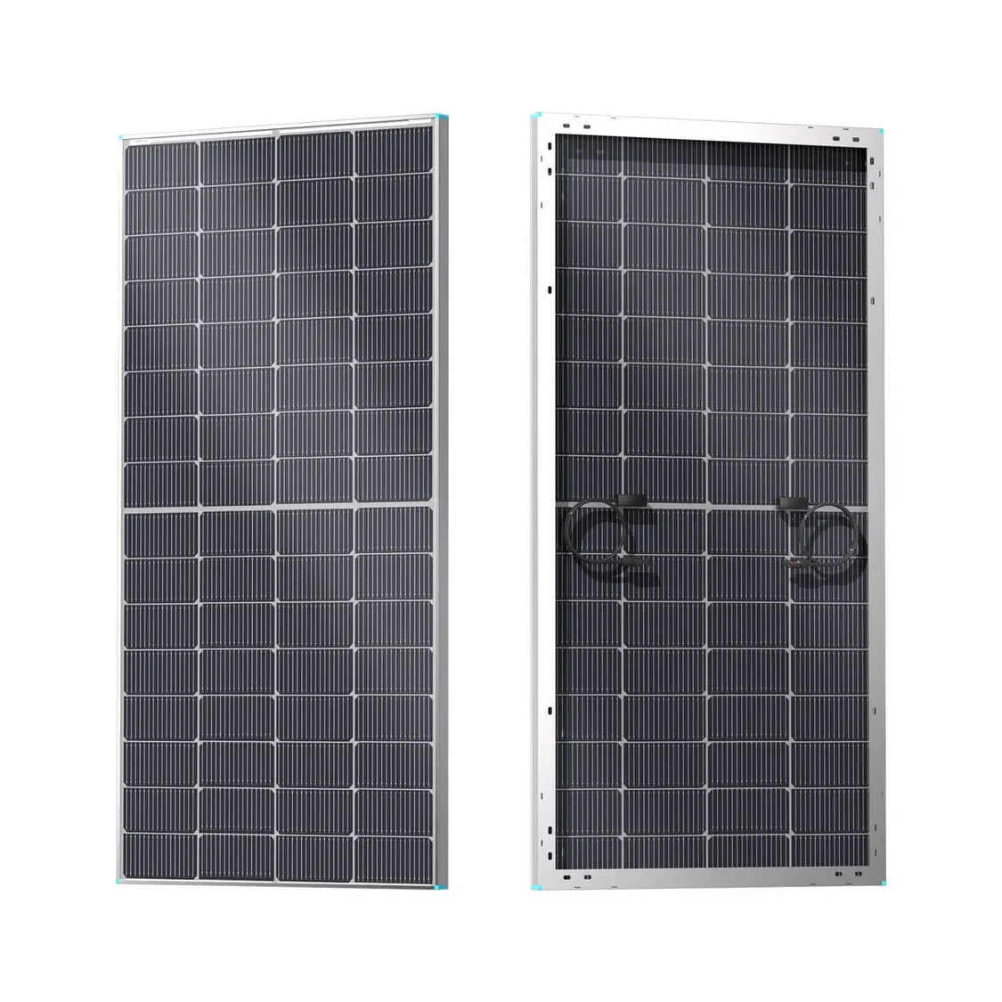 Renogy 250W Bifacial Rigid